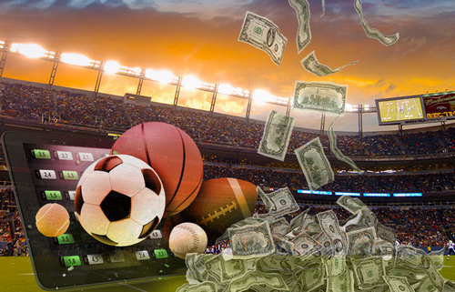 
 How to Bet in Sports Betting: Guides to Sports Betting for beginners
