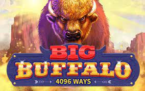 A Complete Guide on Exactly How to Play Buffalo King Megaways Slot