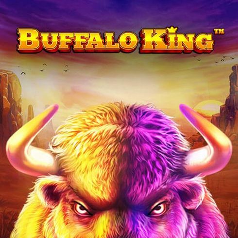 Buffalo King Slot Evaluation 2023 &ndash; Where to Play Buffalo King